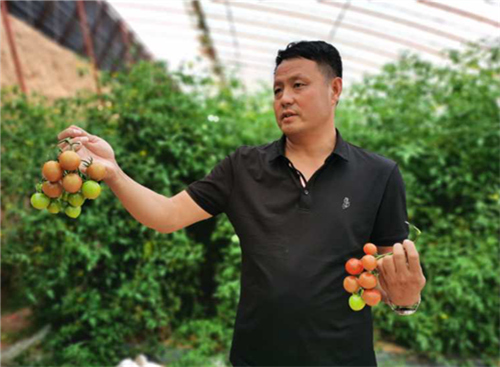 微信图片_20201204083412_副本.jpg