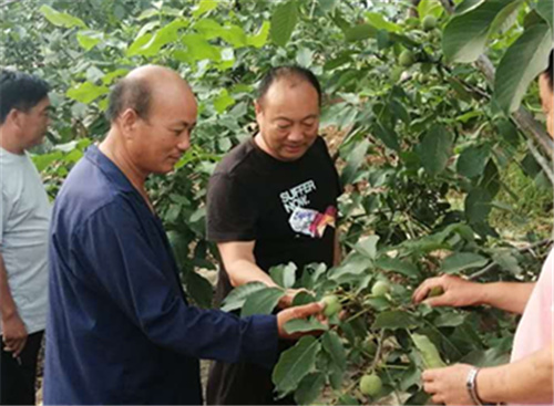 微信图片_20201113143025_副本.jpg